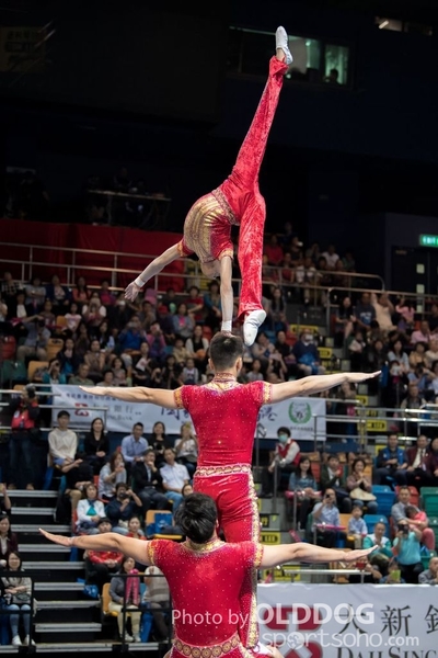 Gymnastics240