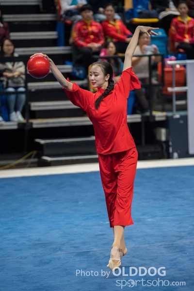 Gymnastics243