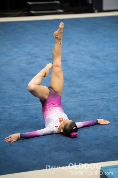 Gymnastics264
