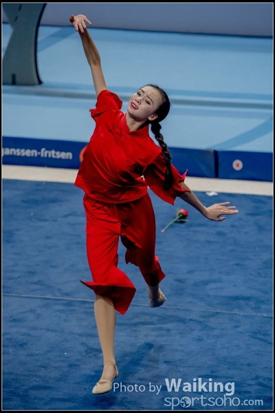 2017-10-21 Gymnastics 0398