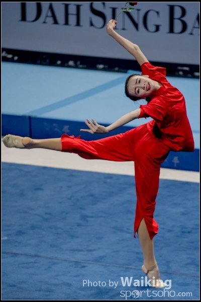2017-10-21 Gymnastics 0402
