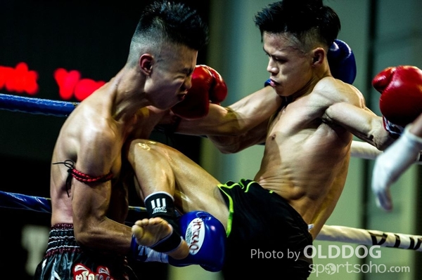 MuayThai28