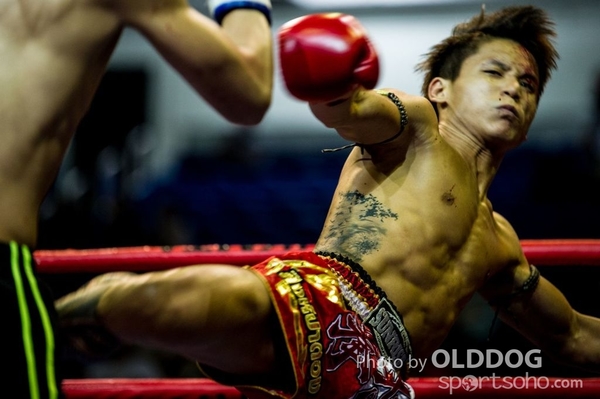 MuayThai50