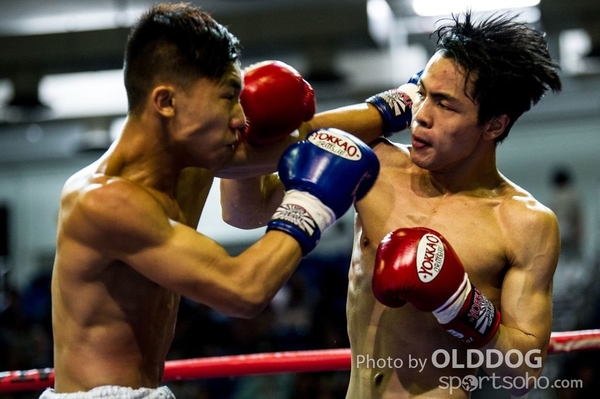MuayThai77