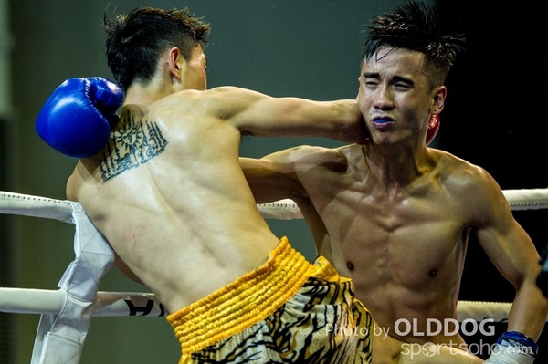 MuayThai95