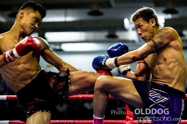 MuayThai165
