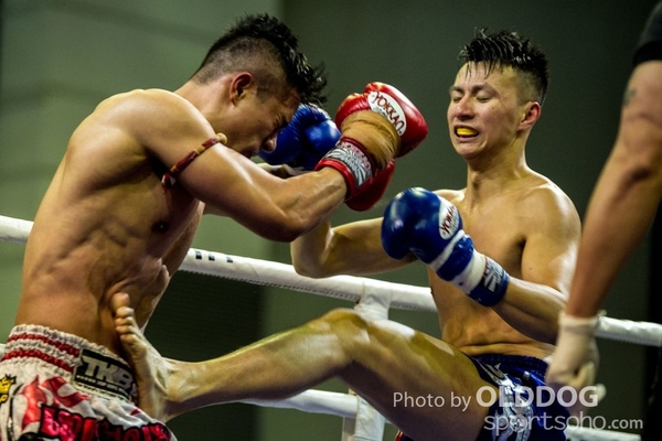 MuayThai182