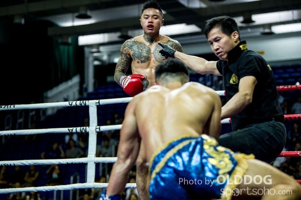MuayThai219