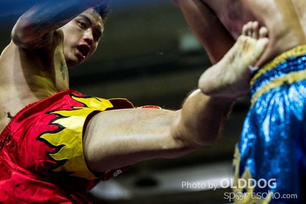 MuayThai228