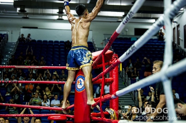 MuayThai234