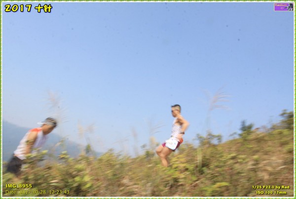IMG_8955