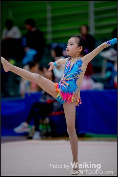 2017-11-25 Rhythmic Gym 1309