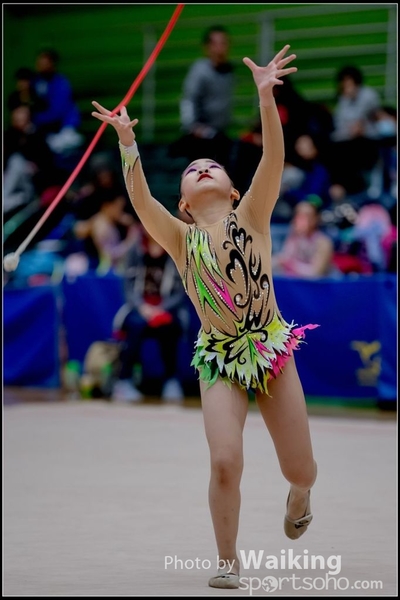2017-11-25 Rhythmic Gym 1685