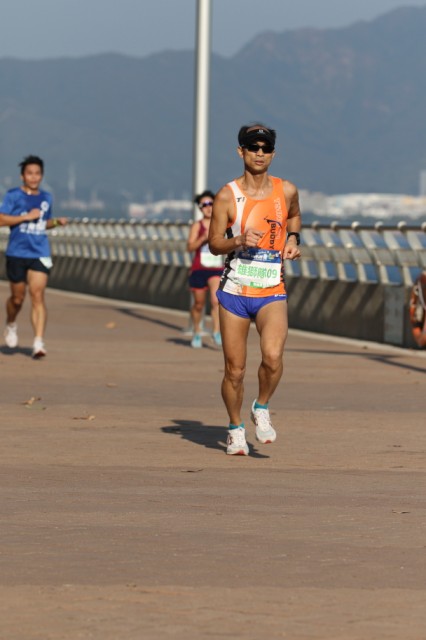run_0206