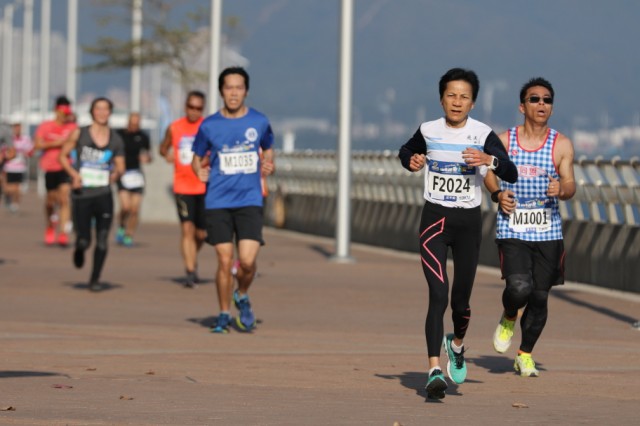 run_0219