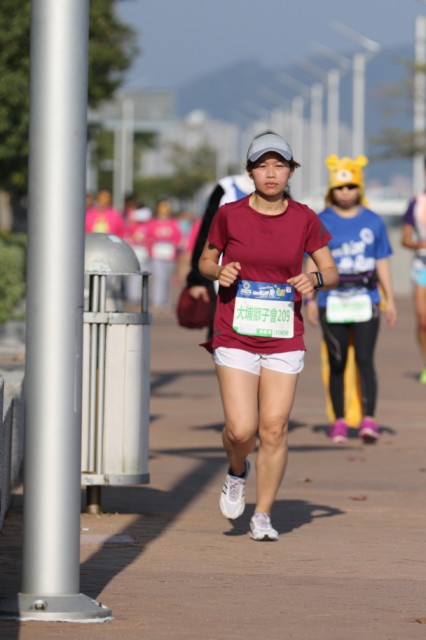 run_0226