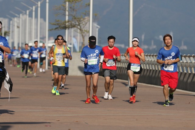 run_0233