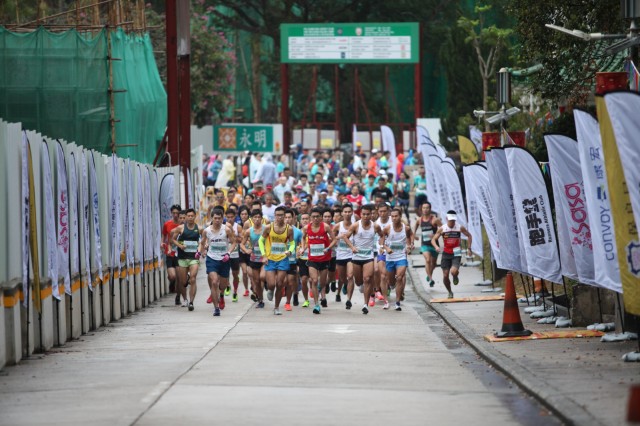 run_0533