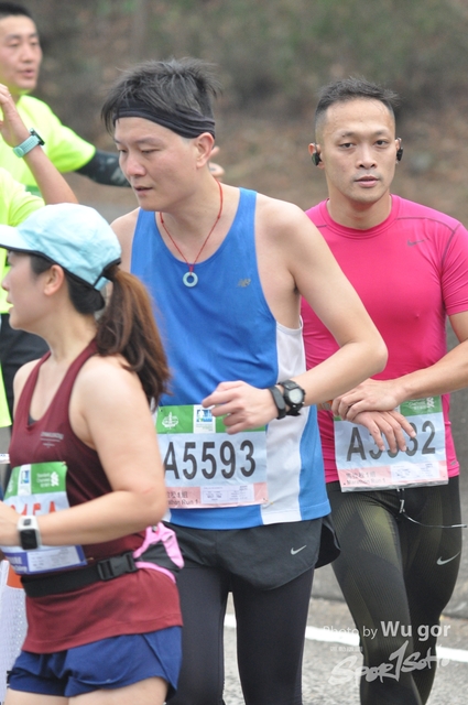0121 Wu Gor D (180)