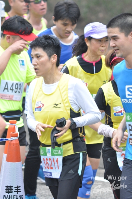 0121 Wu Gor D (238)