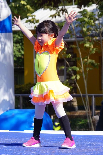 DSC07054