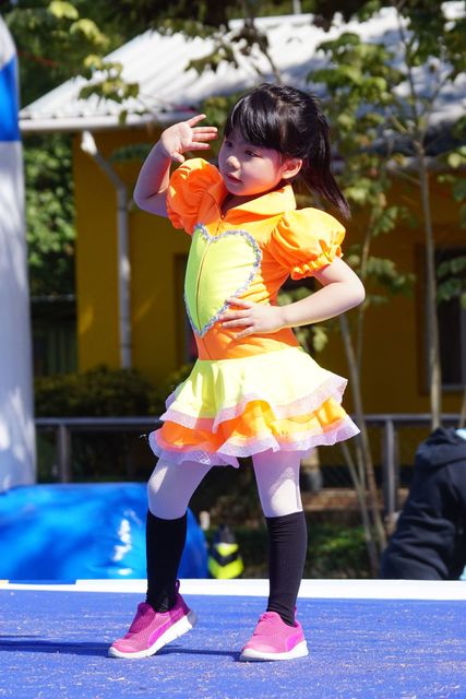 DSC07055
