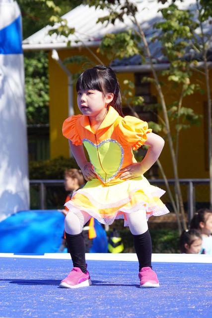 DSC07061