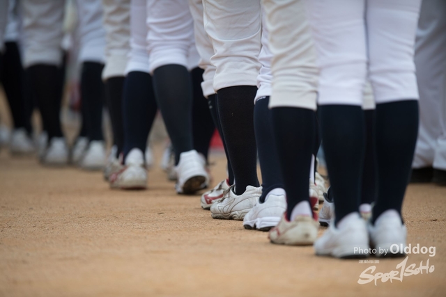 Baseball-119