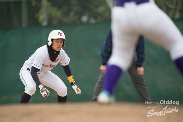 Baseball-240