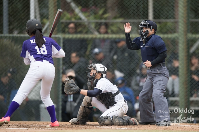 Baseball-253