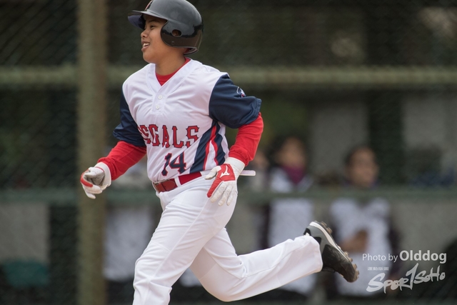 Baseball-281