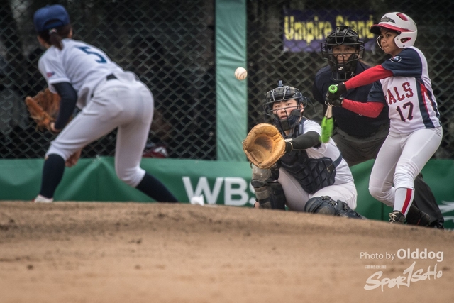 Baseball-312