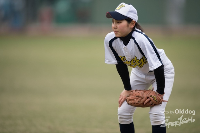 Baseball-346