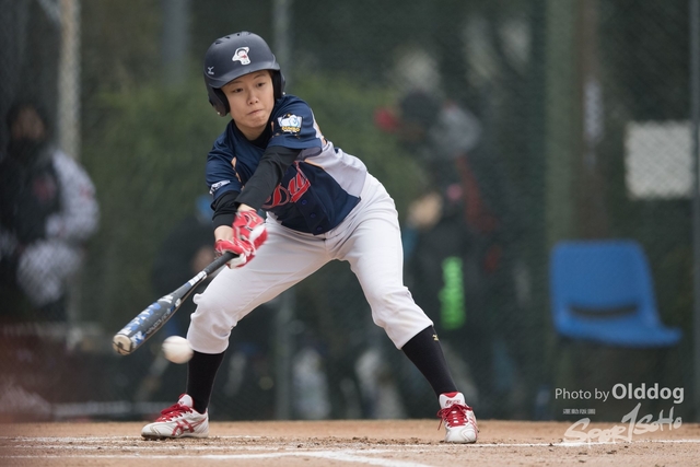 Baseball-347