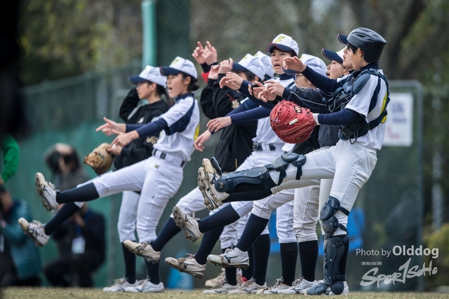 Baseball-19