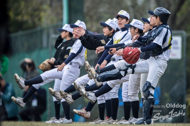 Baseball-20