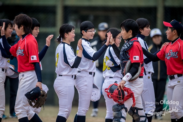 Baseball-94