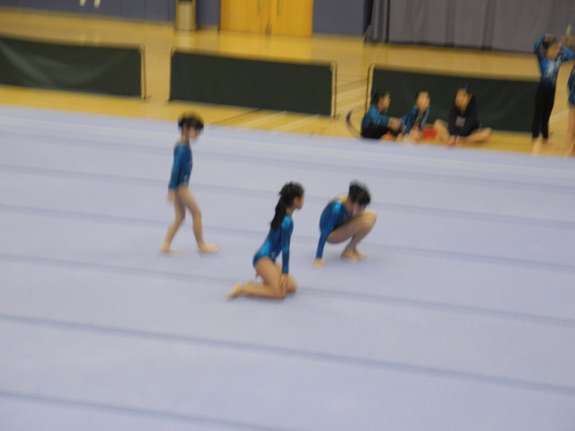 DSCN4354