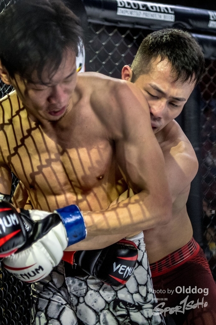 JUST MMA50