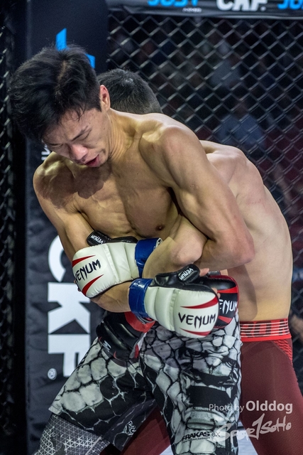 JUST MMA54