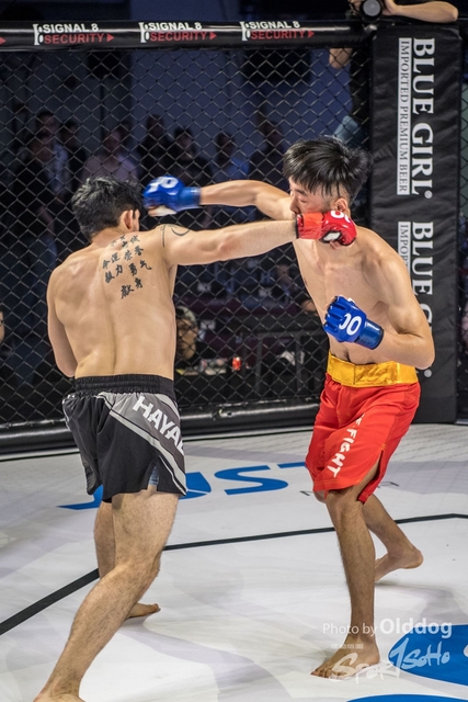 JUST MMA74