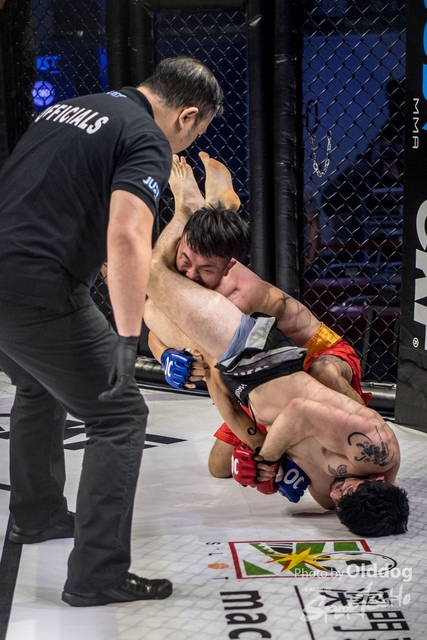 JUST MMA77