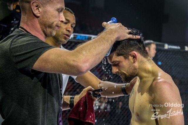 JUST MMA81