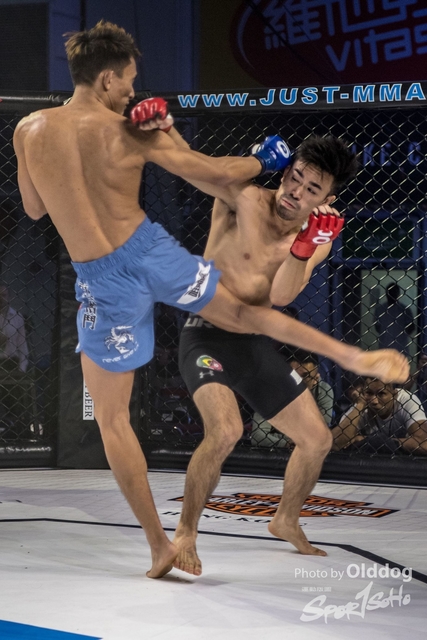 JUST MMA95