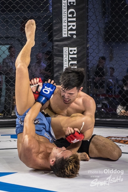 JUST MMA101