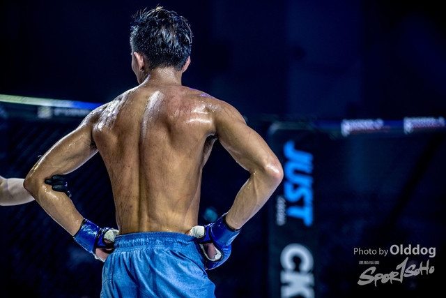 JUST MMA102