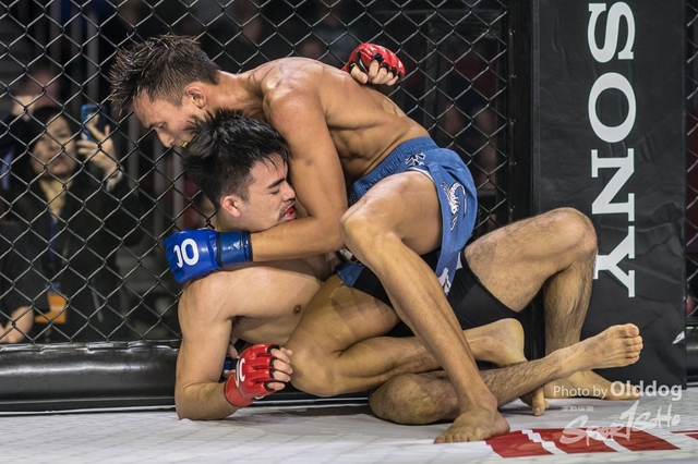 JUST MMA104
