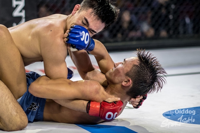 JUST MMA113
