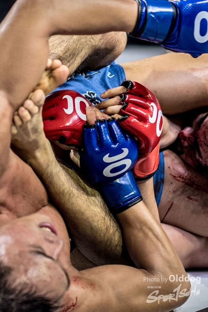 JUST MMA114