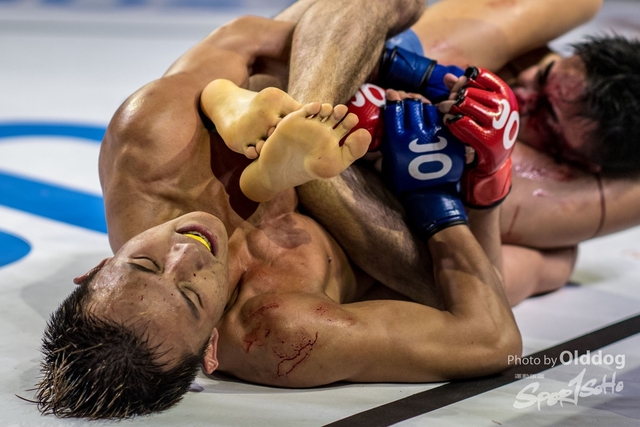 JUST MMA115